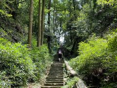 -缙云山景区