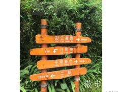 -重庆彩云湖湿地公园