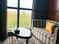 -常州环球恐龙城维景国际大酒店