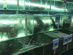 -琼大师东方烤乳猪(亚特兰蒂斯店)