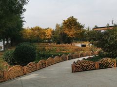 -太原动物园