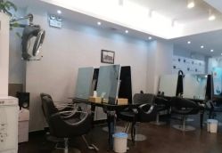 -维卡 Salon