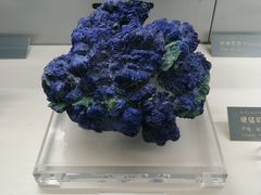 -中国地质博物馆