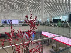 -深圳宝安国际机场