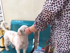 -康乐宝动物医院