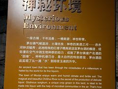 -中国酒文化城