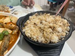 -煲来饱去冷水鱼