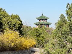 -北京西山国家森林公园