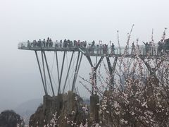 -狼牙山风景区