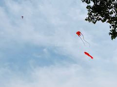-上海吴淞炮台湾国家湿地公园
