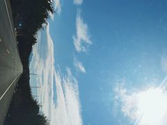 -新疆天山野生动物园