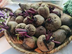 -火塘云南烧烤大排档