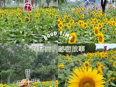 -廊坊文化艺术中心