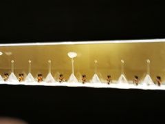 -安屿an·spa(卓悦中心商场店)