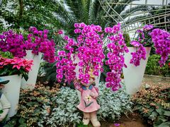 -石家庄市植物园