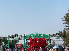-荷兰花海