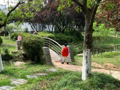 -古琴台