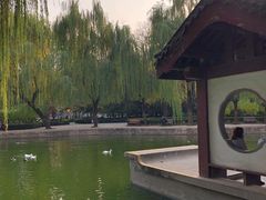 -团结湖公园