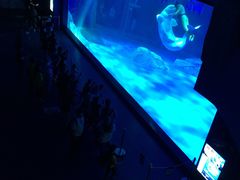 -上海海昌海洋公园-冰山北极馆