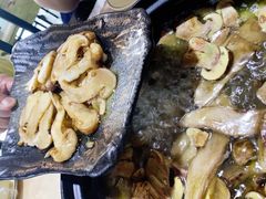 -蘑统田下·野生菌火锅