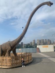 -恐龙探索乐园(磁器口店)