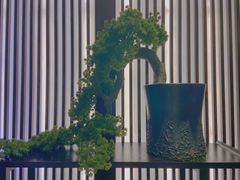 -大唐高老庄(红旗路店)