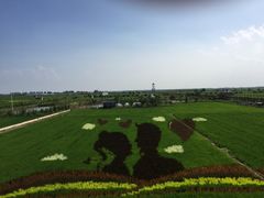 景点-稻梦空间