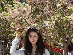 -石家庄市植物园