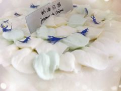 -奶油日报Journal de creme