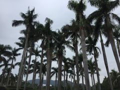 -大堂酒廊·亚龙湾万豪度假酒店