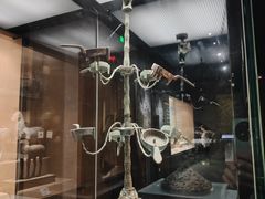 -烟台市博物馆