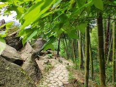 -山沟沟景区