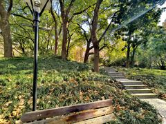 -徐家汇源景区-衡山公园