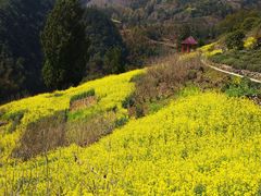 -石潭村