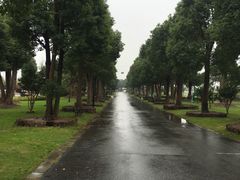 -上海多利农业发展有限公司