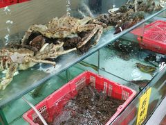 水产区-寻味顺德·南记酒家·传统顺德菜·鱼生(广源路店)