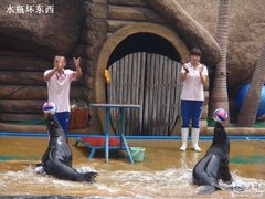 -秦皇岛乐岛海洋王国