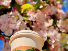 -星巴克(北京望京店)