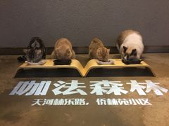 -咖法森林·咖啡  酒吧(天河店)