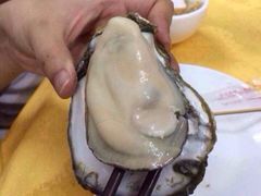桑拿蚝-蚝专家(北滘店)