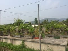 -林屋洞景区