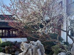 -东山雕花楼