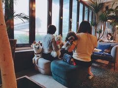 -the rug 飞毯 (朝阳公园店)