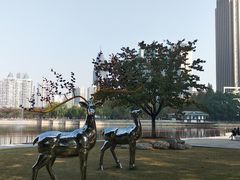 -西北湖绿化广场