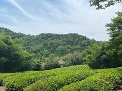 -敬亭山风景名胜区