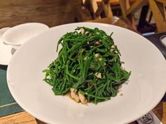 -老阿妈蒙古村·蒙古包·草原文化·歌舞表演(老君堂店)