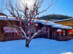 -采薇庄园四季滑雪场