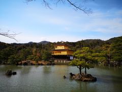 -KURA寿司(金阁寺店)