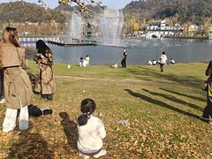 -千年银杏谷文化旅游区