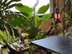 -J Create城市露营咖啡·简餐·宠物(上海动物园店)